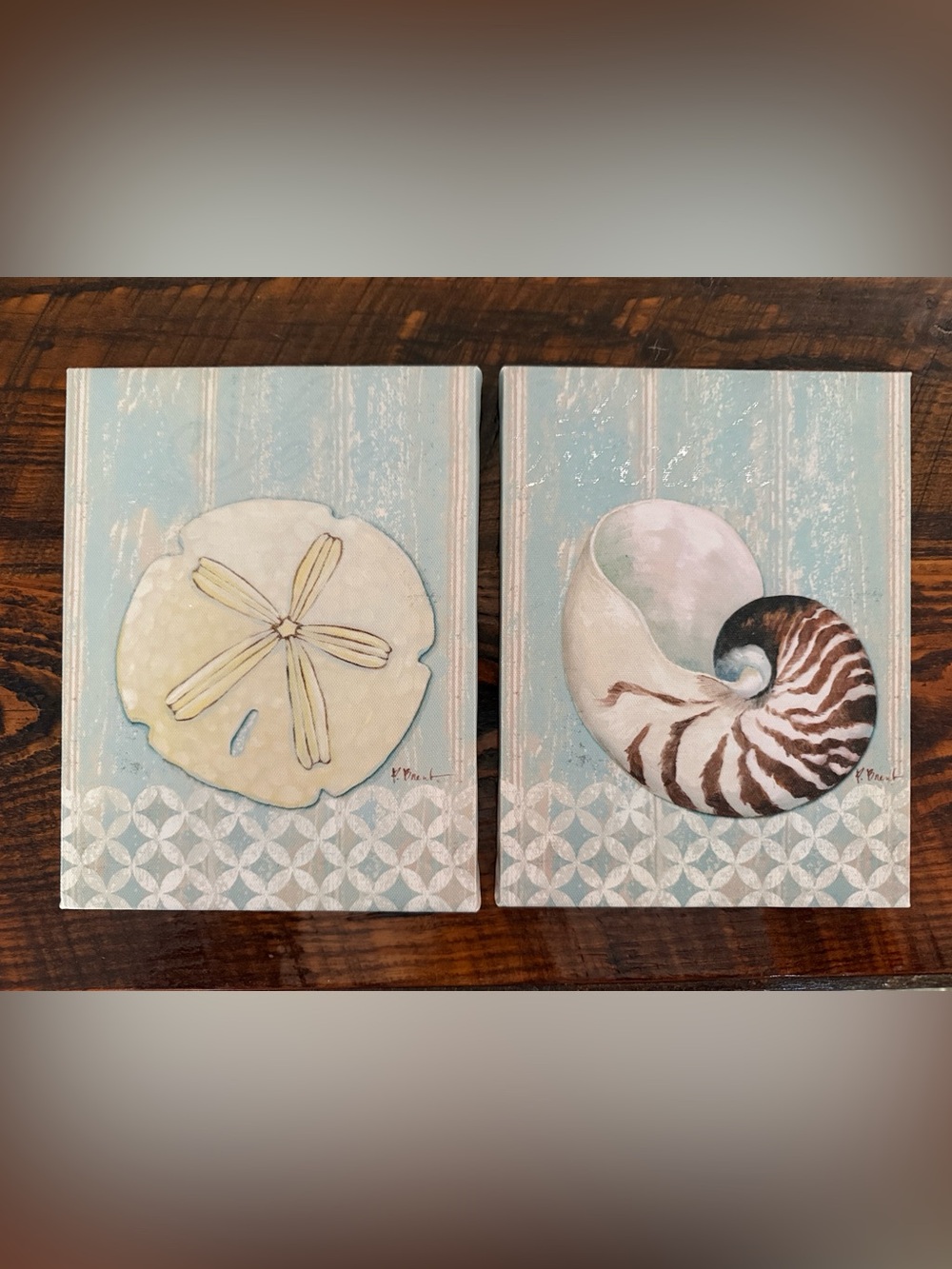 Coastal Sand Dollar & Shell Wall Art Pair - Light Blue